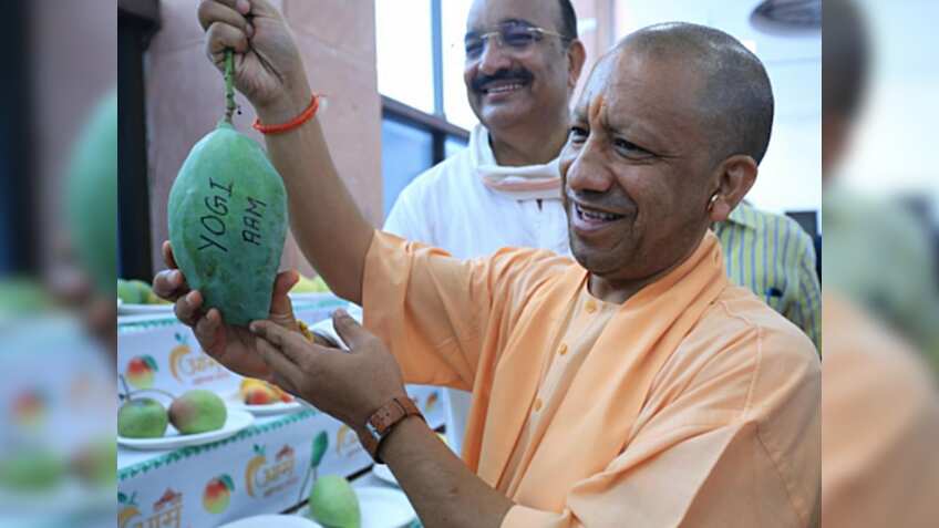 UP Mango Festival 2025: सीएम योगी ने किया आम महोत्सव का उद्घाटन, किसानों को दिए कमाई बढ़ाने के टिप्स