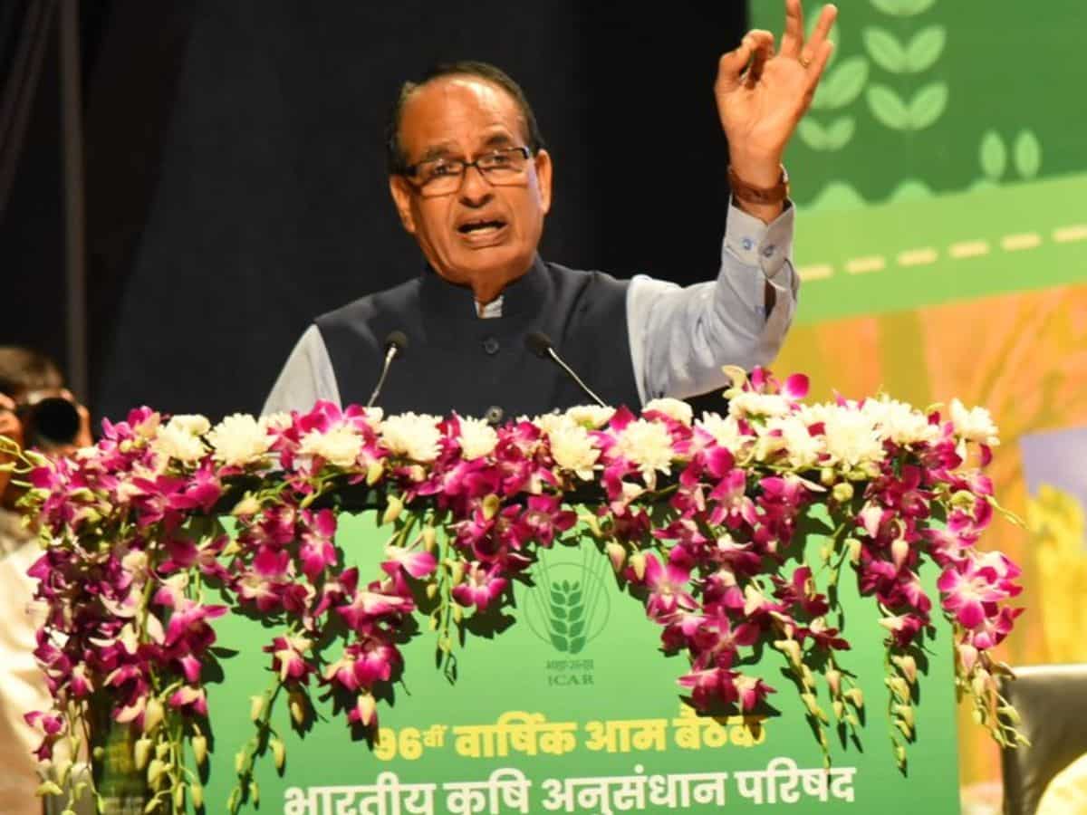 तिलहन-दलहन पर फोकस, राज्यों के अनुसार योजना बनाएगी सरकार, आयात पर निर्भरता होगी कम