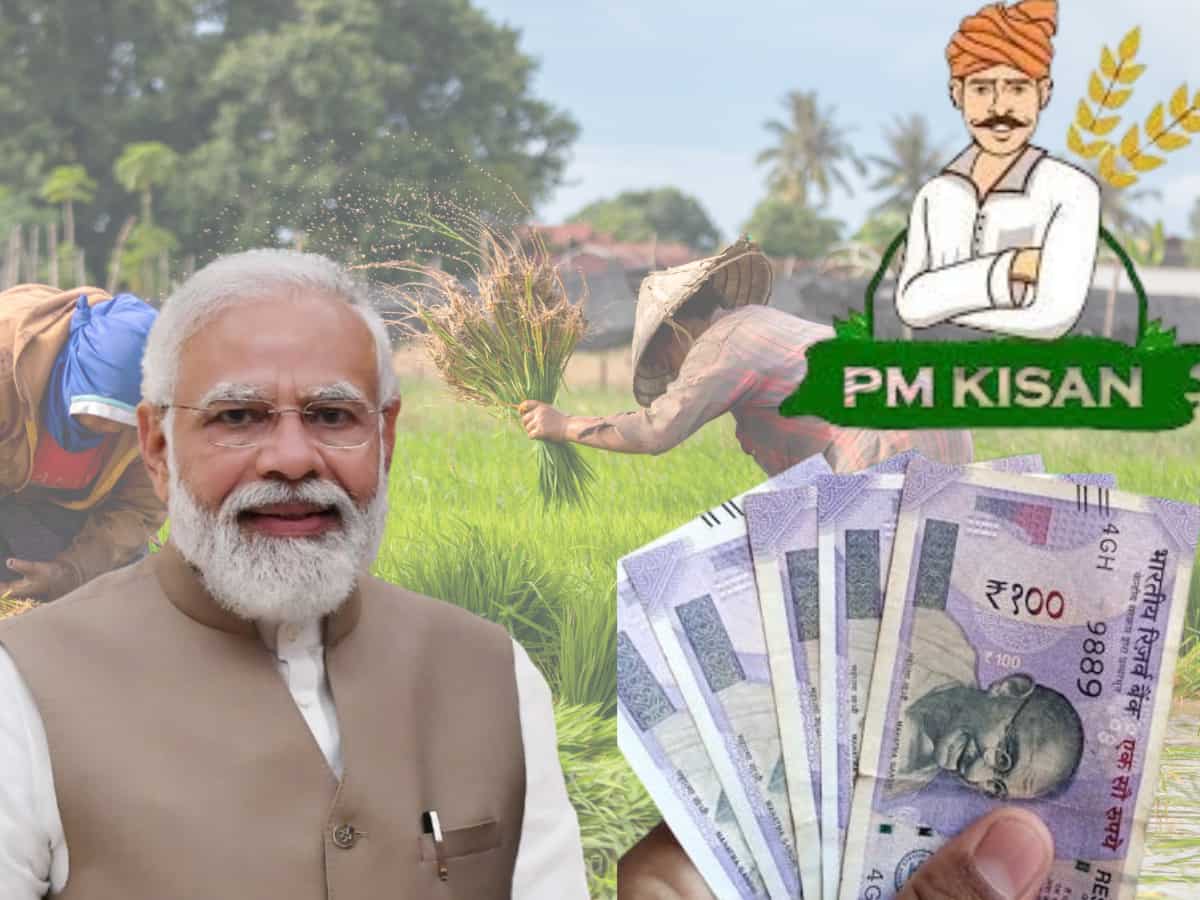 पीएम किसान की 20वीं किस्त का इंतजार होने वाला है खत्म!  क्या सच में 18 जुलाई को आएगी इंस्टालमेंट?बस इस एक चीज का है इंतजार