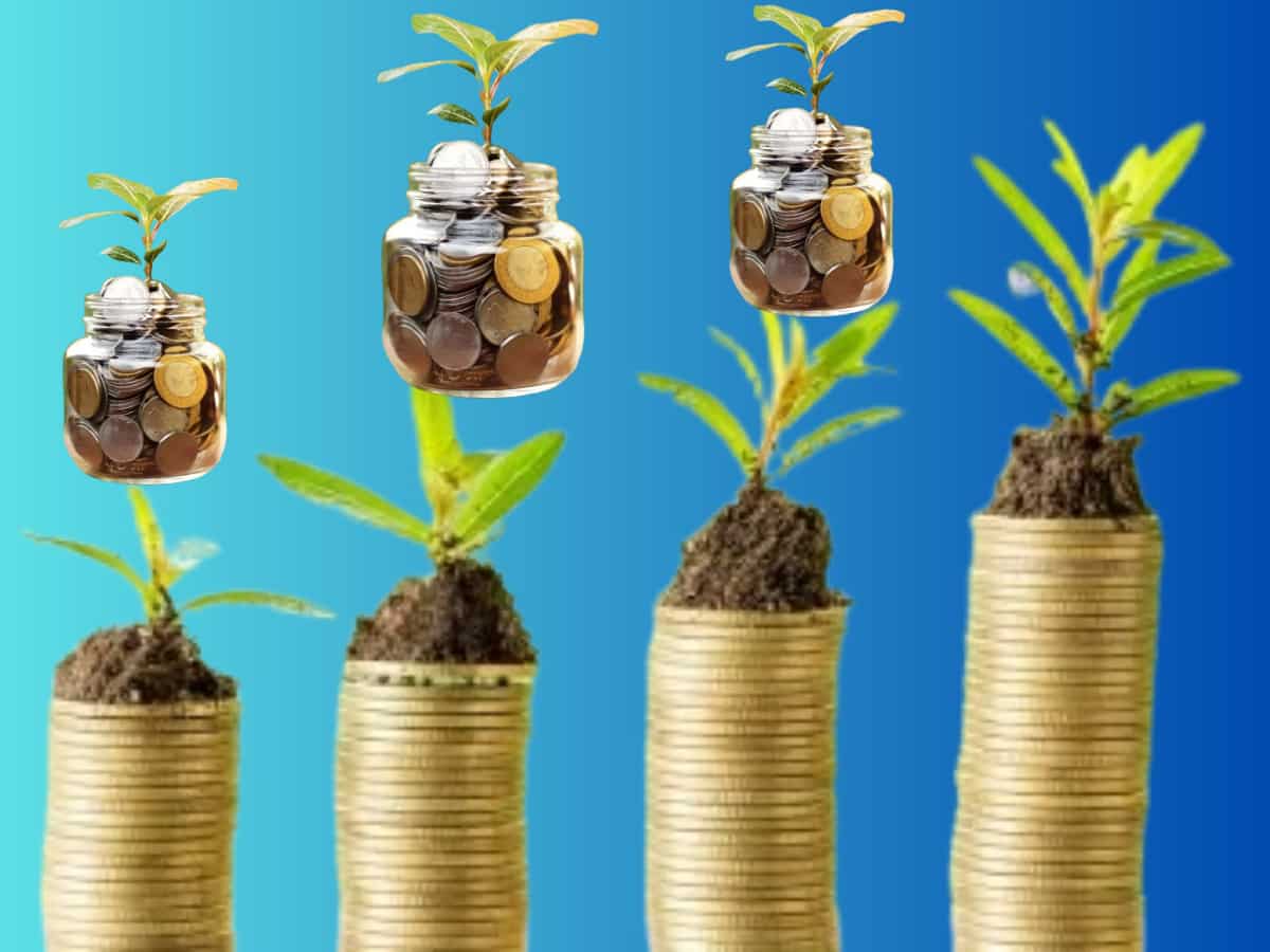 Invesco India Flexi Cap Fund