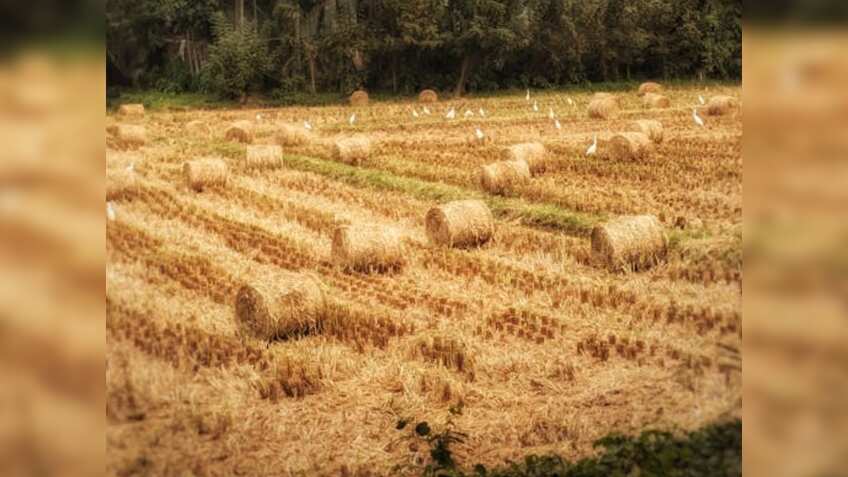 खुशखबरी! अब पराली से होगी कमाई, इंडस्ट्री लगाने पर मिलेगी 65% तक सब्सिडी
