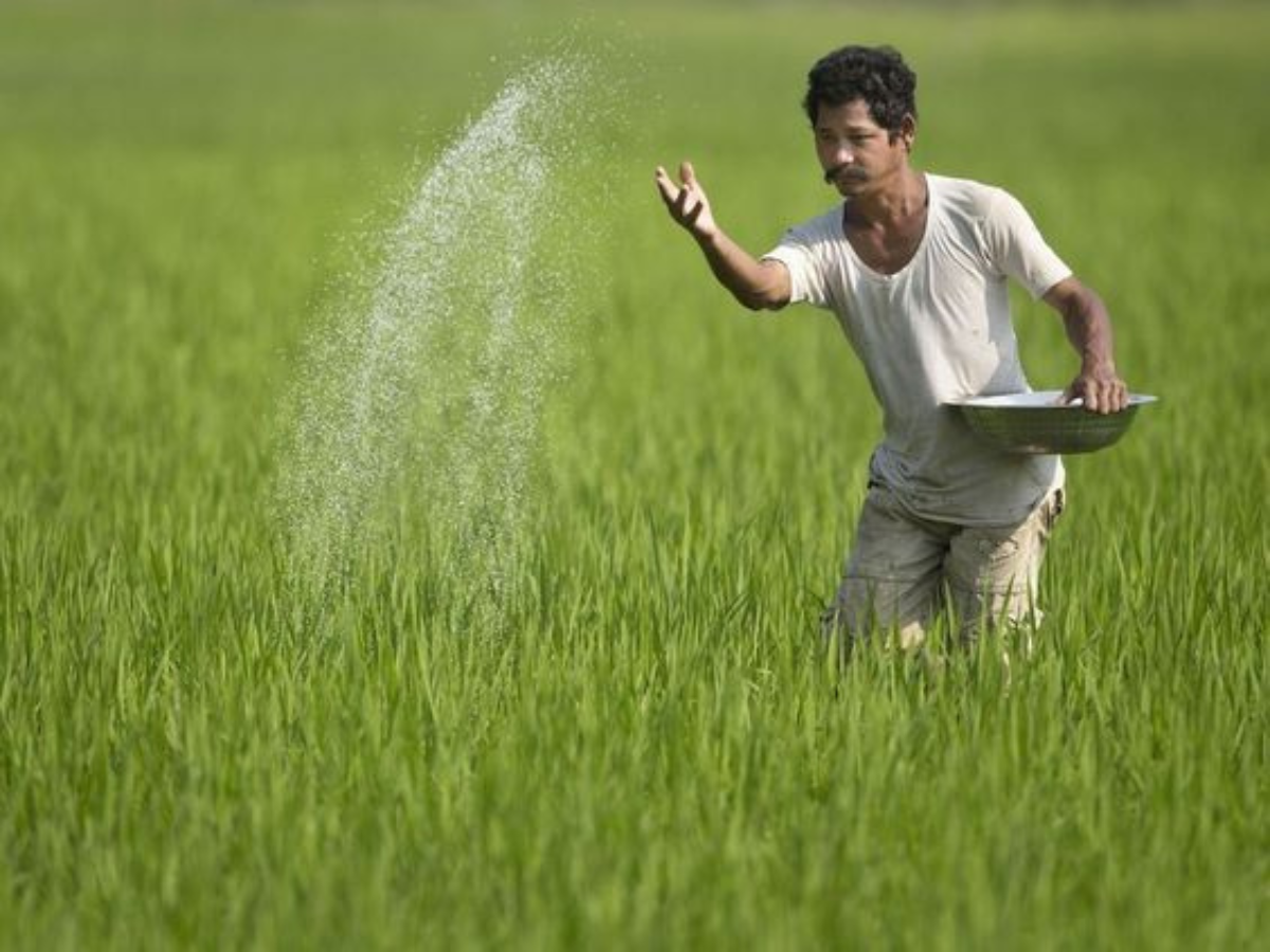 महंगाई की टूटेगी कमर, गांवों में बरसेगा पैसा! रिपोर्ट में बड़ा दावा- FY26 में बदलेगी देश की तस्वीर...