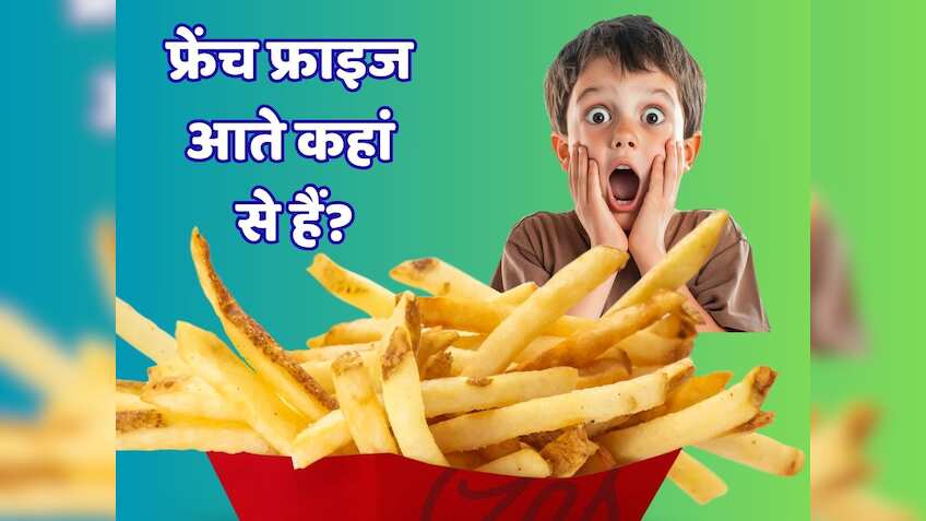 गुजरात बना आलू का नया 'किंग', McDonald's Burger King भी हैं येां के फ्रेंच फ्राइज के दीवाने