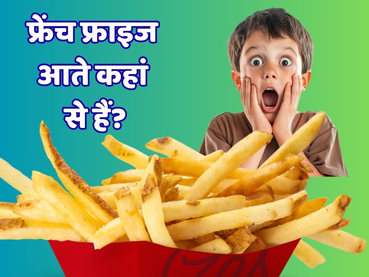 गुजरात बना आलू का नया 'किंग', McDonald's Burger King भी हैं येां के फ्रेंच फ्राइज के दीवाने
