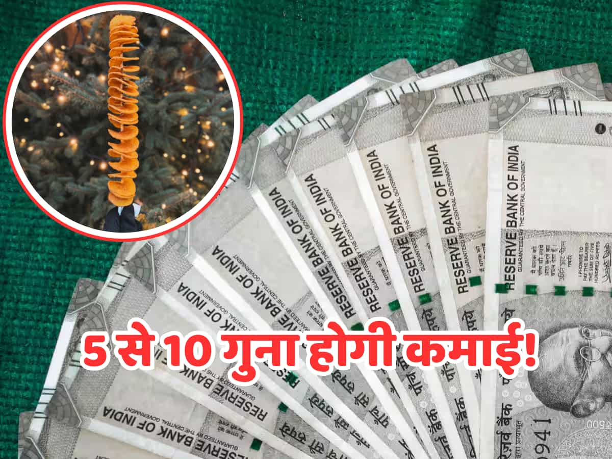 मशीन में आलू डालकर ये लोग सच में बना रहे हैं सोना, एक दिन में कमा रहे कई गुना का मुनाफा