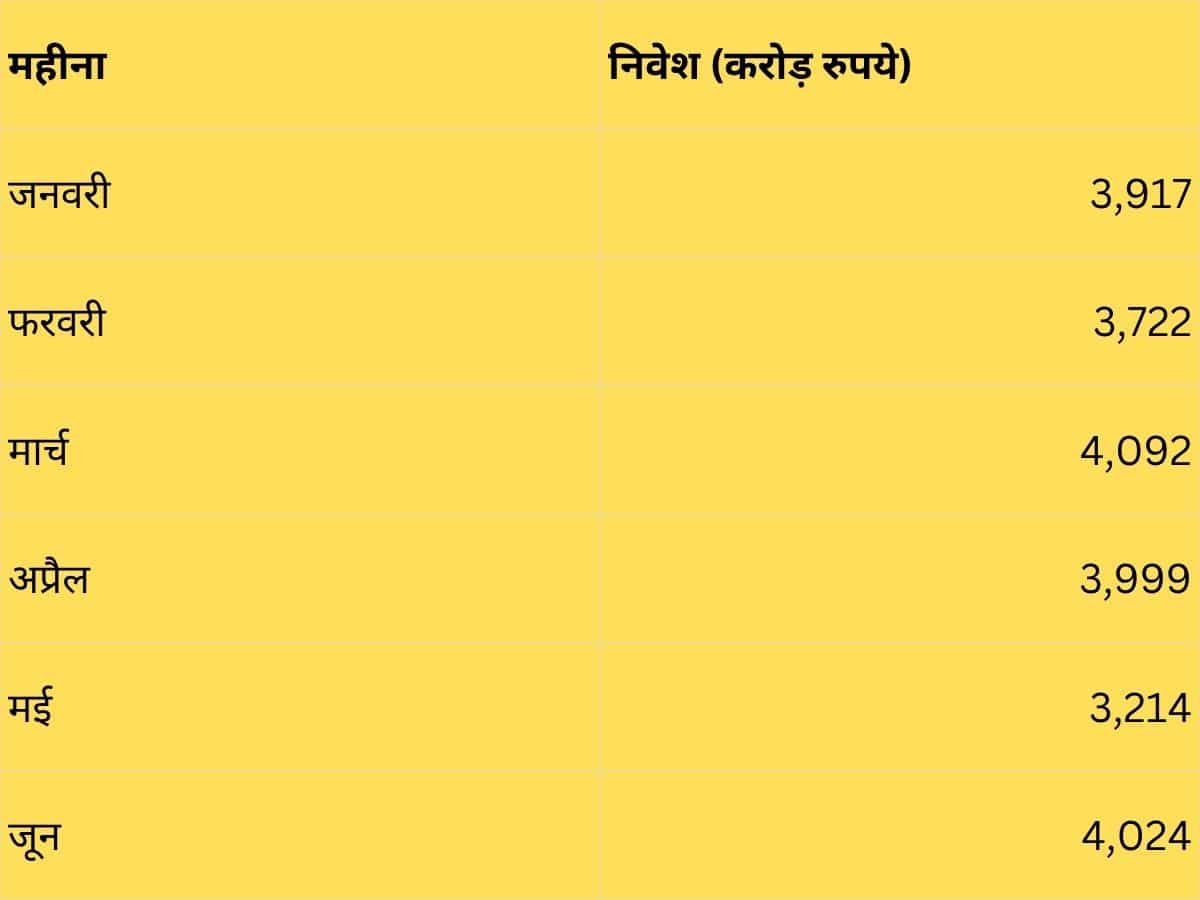 स्मॉलकैप में कितना पैसा आया?