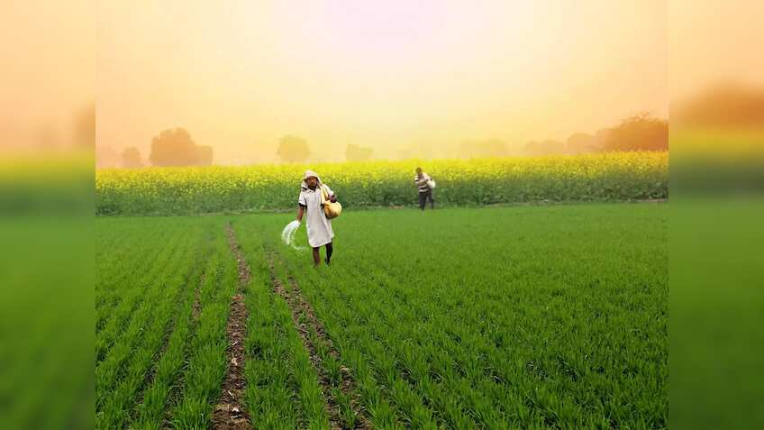 आंकड़े देखकर चौंक जाएंगे! भारत के कृषि निर्यात ने रचा नया इतिहास, साल की शुरुआत ही रही धमाकेदार