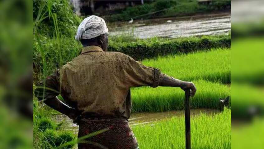 ग्रेटर नोएडा में किसानों के हाथ लगा जैकपॉट! बस एक ड्रा और अथॉरिटी ने एक साथ बांटे 104 प्लॉट