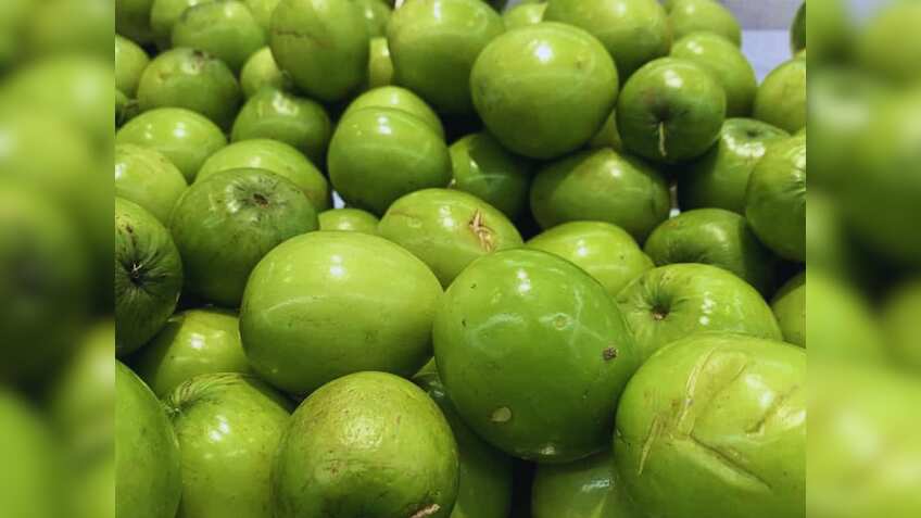 किसानों के लिए खुशखबरी! इन 4 फलों पर सरकार दे रही है 50% सब्सिडी, आवेदन के साथ जरूरी होंगे ये डॉक्यूमेंट्स