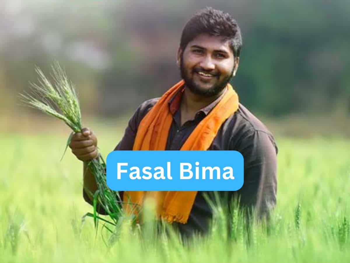 Fasal Bima Yojana: मक्का, धान के किसानों के लिए गुड न्यूज! बढ़ाई गई फसल बीमा की अंतिम तारीख