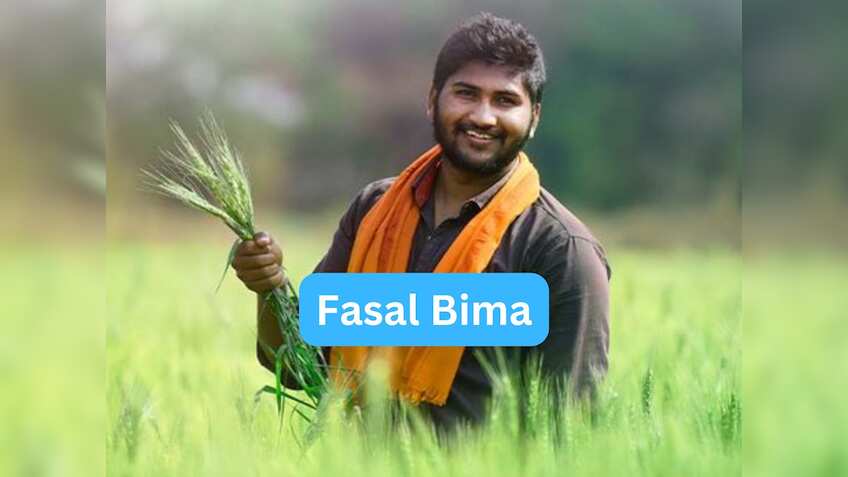Fasal Bima Yojana: मक्का, धान के किसानों के लिए गुड न्यूज! बढ़ाई गई फसल बीमा की अंतिम तारीख