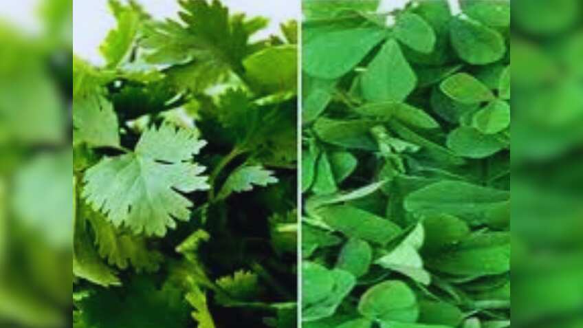 मसालों की खेती से किसान होंगे मालामाल! 40% तक सब्सिडी दे रही ये सरकार, जानें आवेदन का तरीका