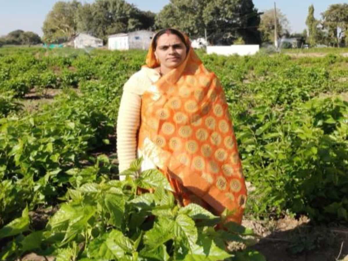 रेशम से बनी लखपति दीदी! सिर्फ 1 एकड़ से कर ली ₹1 लाख से ज्यादा की कमाई, जानिए सफलता की कहानी