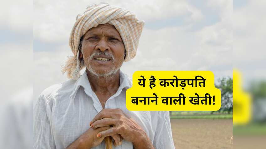 ये है करोड़पति बनाने वाली खेती! एक बार लगाएं और 25-30 साल तक पीटें पैसे