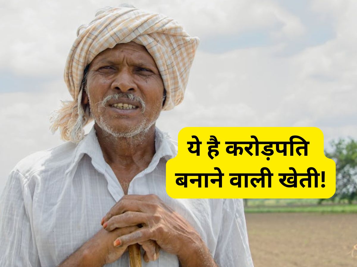 ये है करोड़पति बनाने वाली खेती! एक बार लगाएं और 25-30 साल तक पीटें पैसे