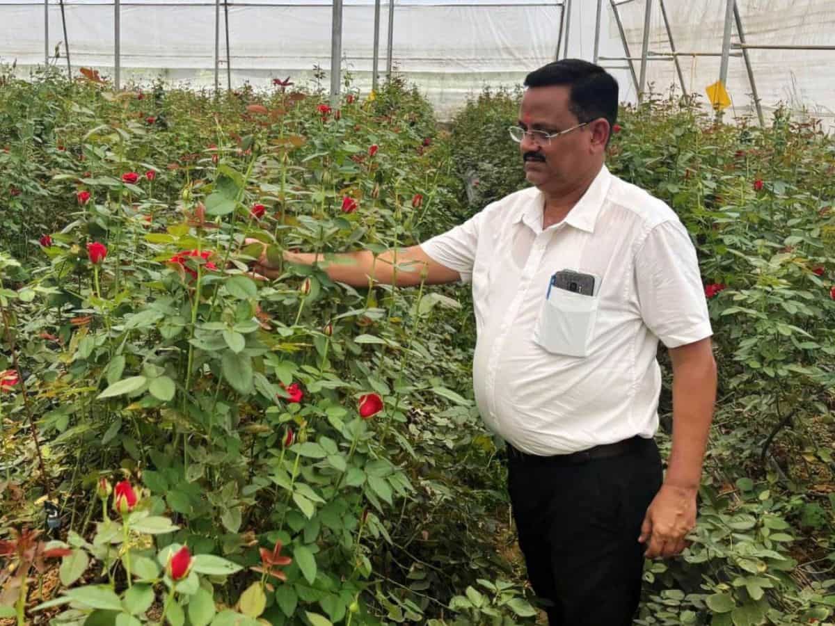 Success Story: इस फूल की खेती से किसान बना मालामाल! एक साल में कमाया ₹10 लाख का मुनाफा