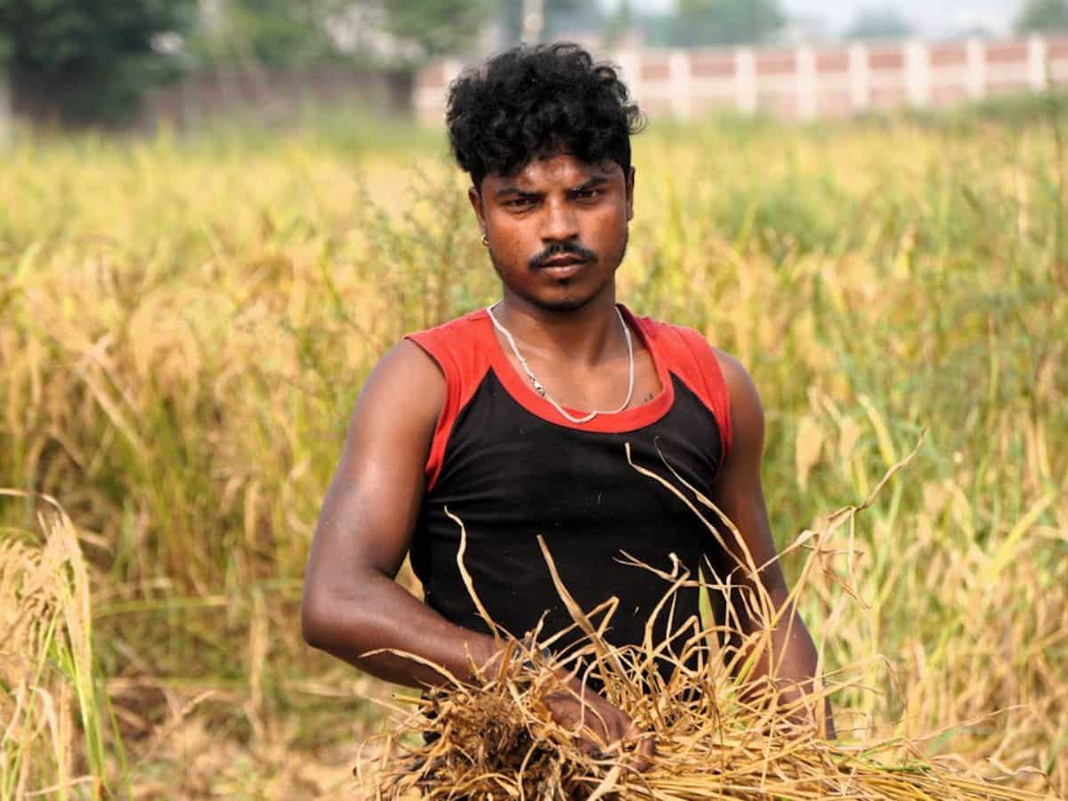 PM Kisan के लाभार्थी सावाधान! अफवाहों से रहें दूर, वरना बैंक बैलेंस हो जाएगा जीरो