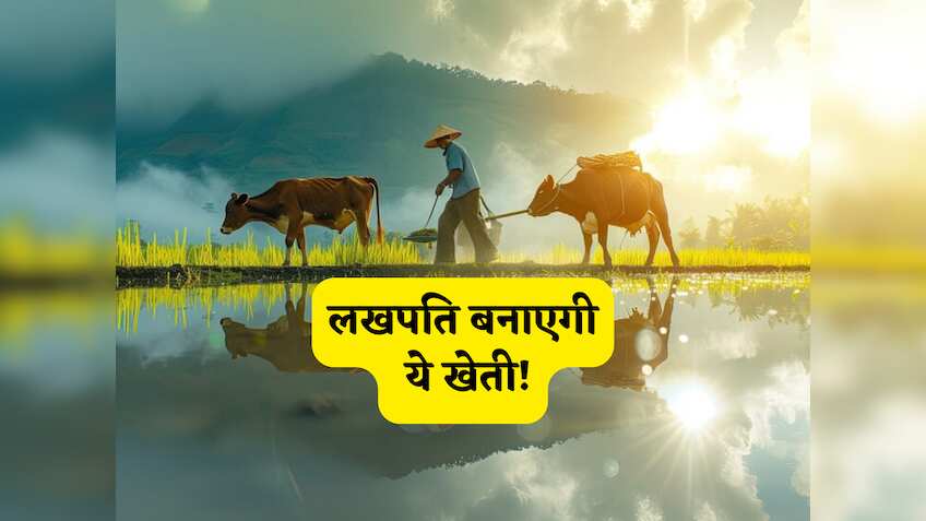  ये लखपति बनाने वाली है खेती! एक बार लगाएं और लंबा पीटेंगे फिर पैसा