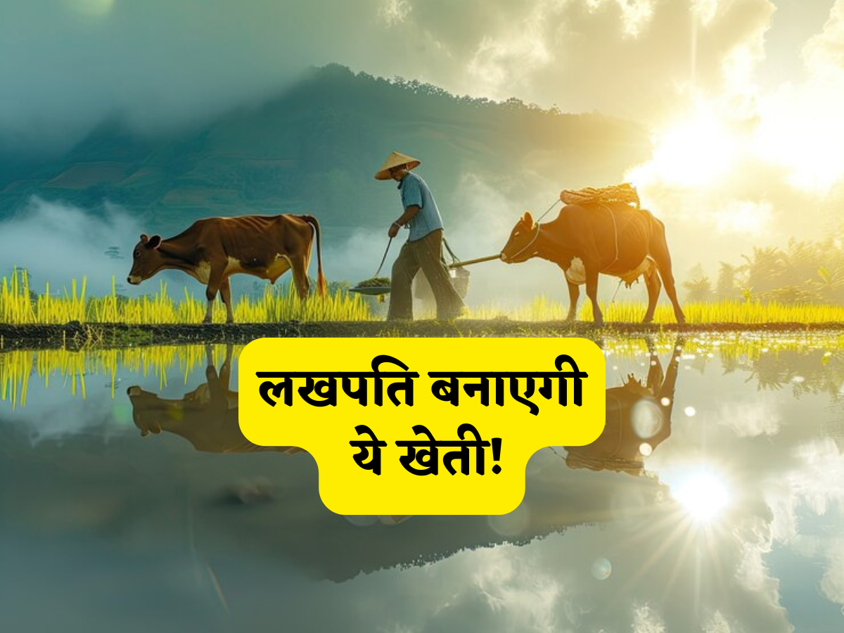 ये लखपति बनाने वाली है खेती! एक बार लगाएं और लंबा पीटेंगे फिर पैसा