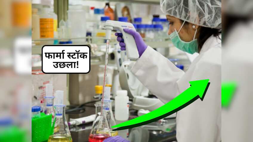 गिरते बाजार में फार्मा शेयर ने किया कमाल, एंटीबायोटिक दवा पर आई खबर के बाद खरीदने को टूट पड़े निवेशक