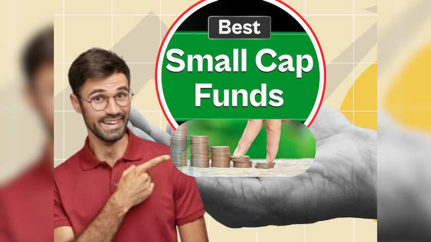 डर के आगे जीत है वाली लाइन पर चलता है ये म्यूचुअल फंड स्कीम, सिर्फ रिश्क से इश्क वाले लगाते हैं पैसा