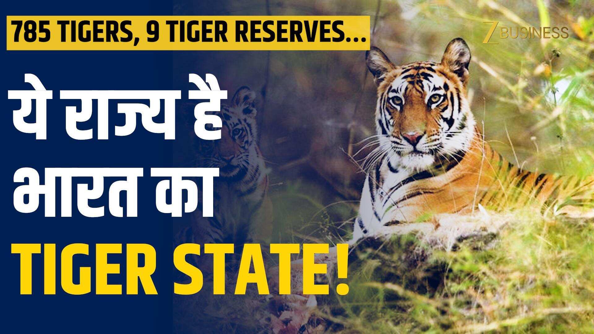किस राज्य के पास हैं 785 Tigers और 9 Reserves? देखें VIDEO