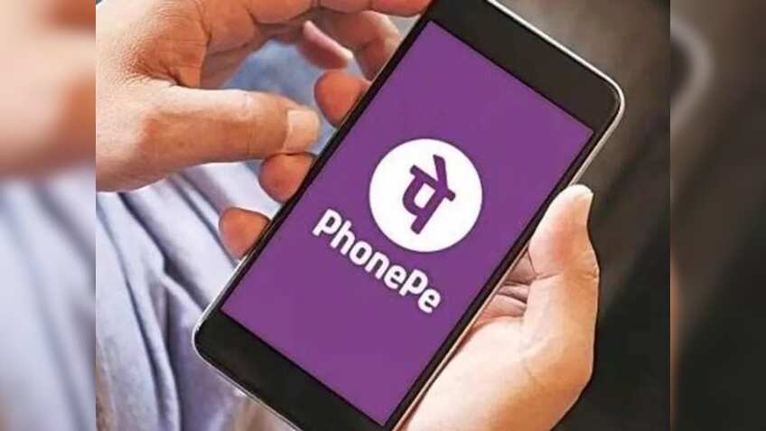 PhonePe ने लॉन्च किया ऑफलाइन पार्टनर प्रोग्राम, जानें कैसे करेगा काम?