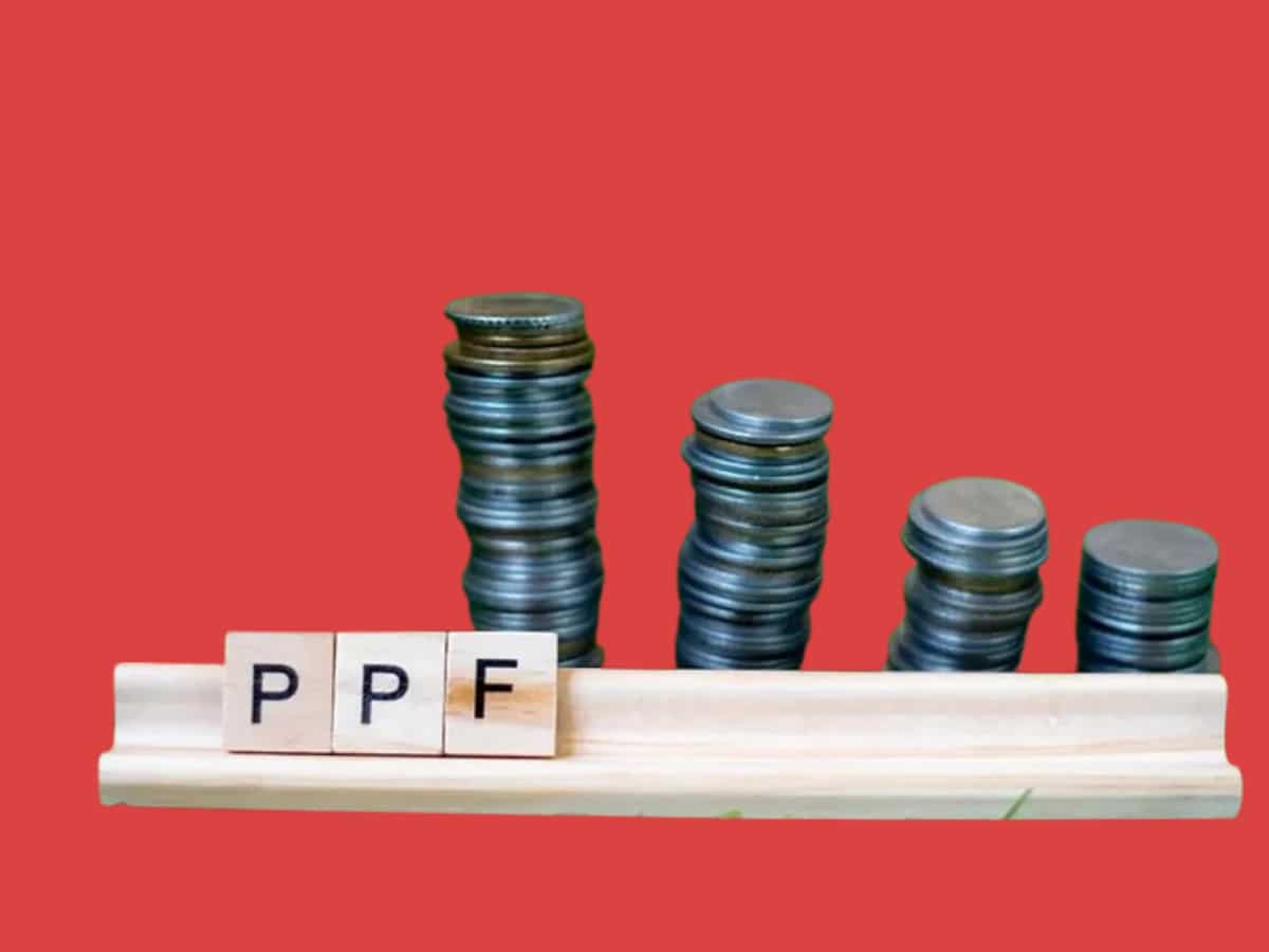 Maximize Your Investment