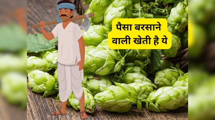 ये खेती नहीं सच में 'नोट छापने की मशीन' है, एक बार उगाया तो नोट गिनते-गिनते जाएंगे थक,देश के आधे किसान इस खेती से हैं अनजान