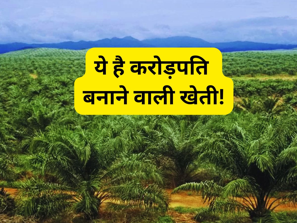 ये है करोड़पति बनाने वाली खेती! एक बार लगाएं 30 साल तक कमाएं, सरकार भी देगी लाखों