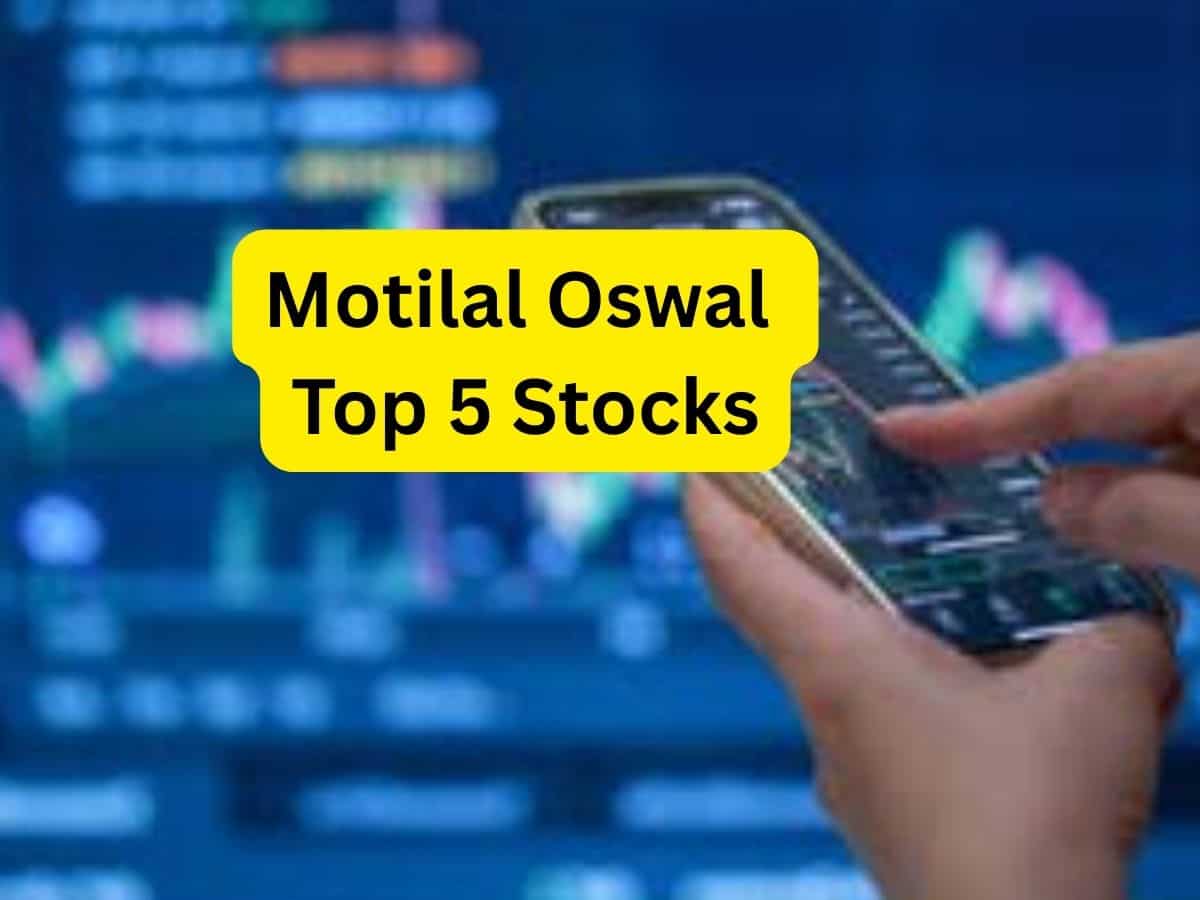 25% रिटर्न के लिए मोतीलाल ओसवाल ने चुने ये 5 स्टॉक्स, जान लें लॉन्ग-टर्म के लिए टारगेट