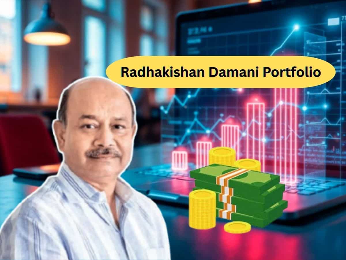 Radhakishan Damani Portfolio: इस नए Stock पर लगाया दांव, 1 में घटाया स्टेक; कुल 13 शेयरों के दम पर नेटवर्थ हुई ₹192657.15 करोड़
