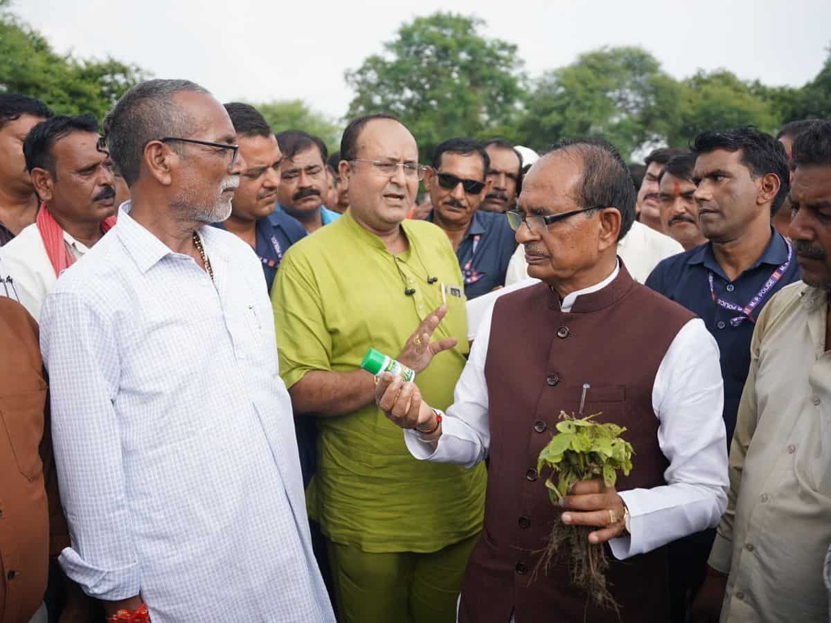 नकली कीटनाशाक से जल गई फसल तो कृषि मंत्री ने दिए सख्त कार्रवाई के निर्देश, जानिए पूरा मामला