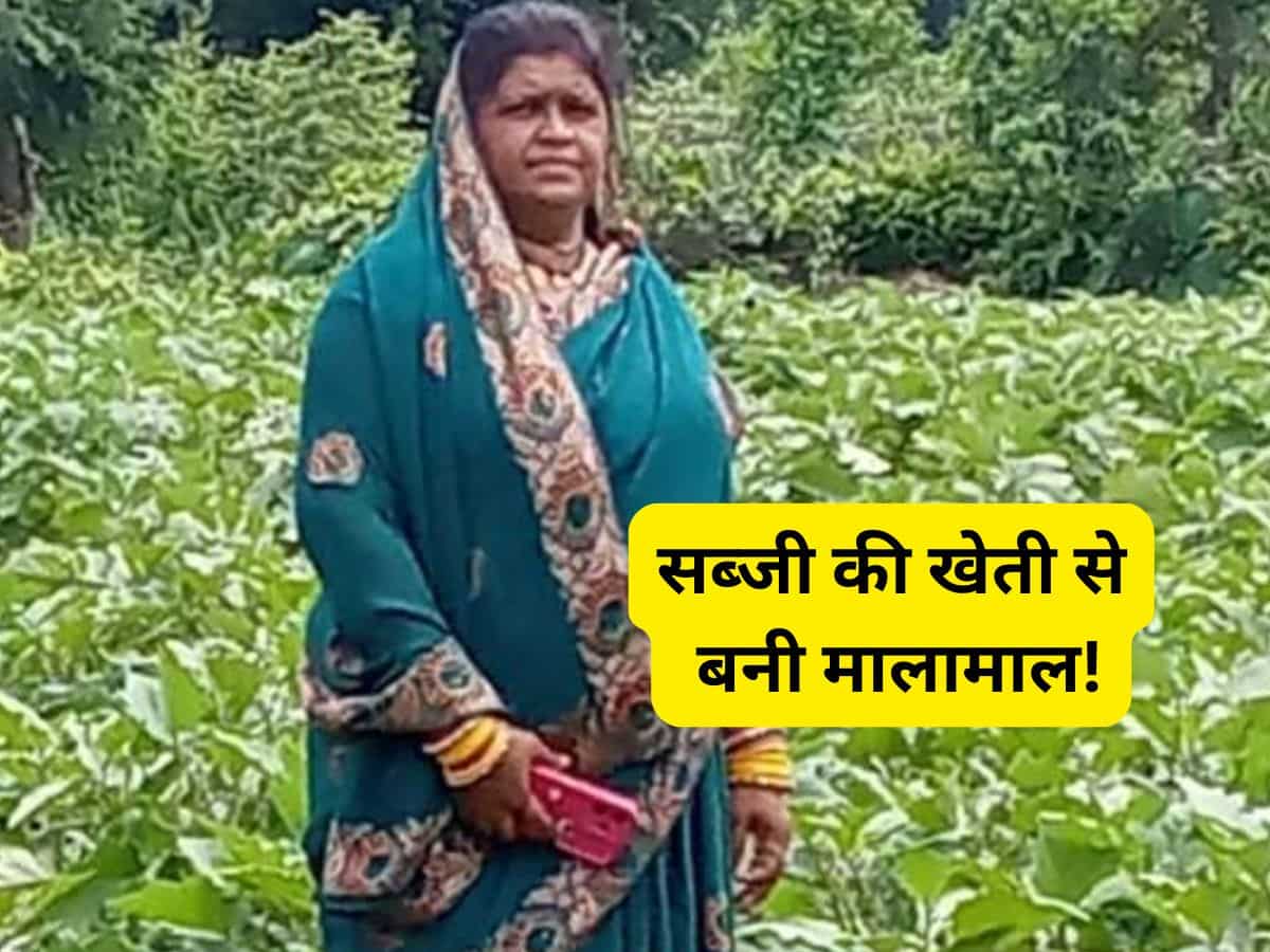 बिहान योजना से अनीता पटेल बनीं आत्मनिर्भर, सब्जी की खेती से कमा रही ₹20,000 महीना