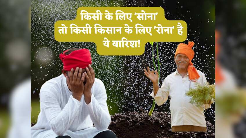 किसी के लिए 'सोना' तो किसी किसान के लिए 'रोना' है ये बारिश,बरसात में करें ये 3 खेती, 1 से 2 महीने में होगी तैयार,डबल होगा मुनाफा!