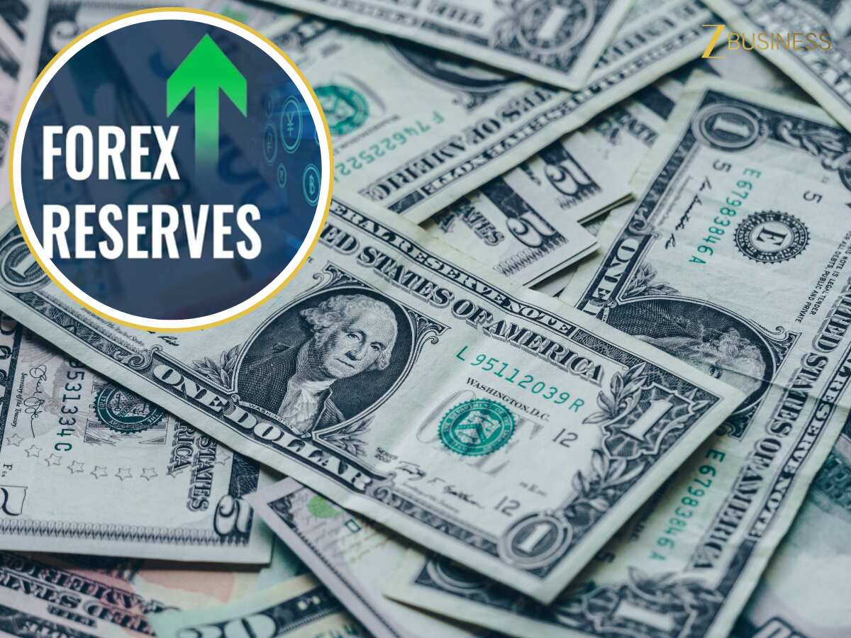 डॉलर से भर गया देश का खजाना, 695 अरब डॉलर के पार पहुंचा विदेशी मुद्रा भंडार, पढ़ें रिपोर्ट