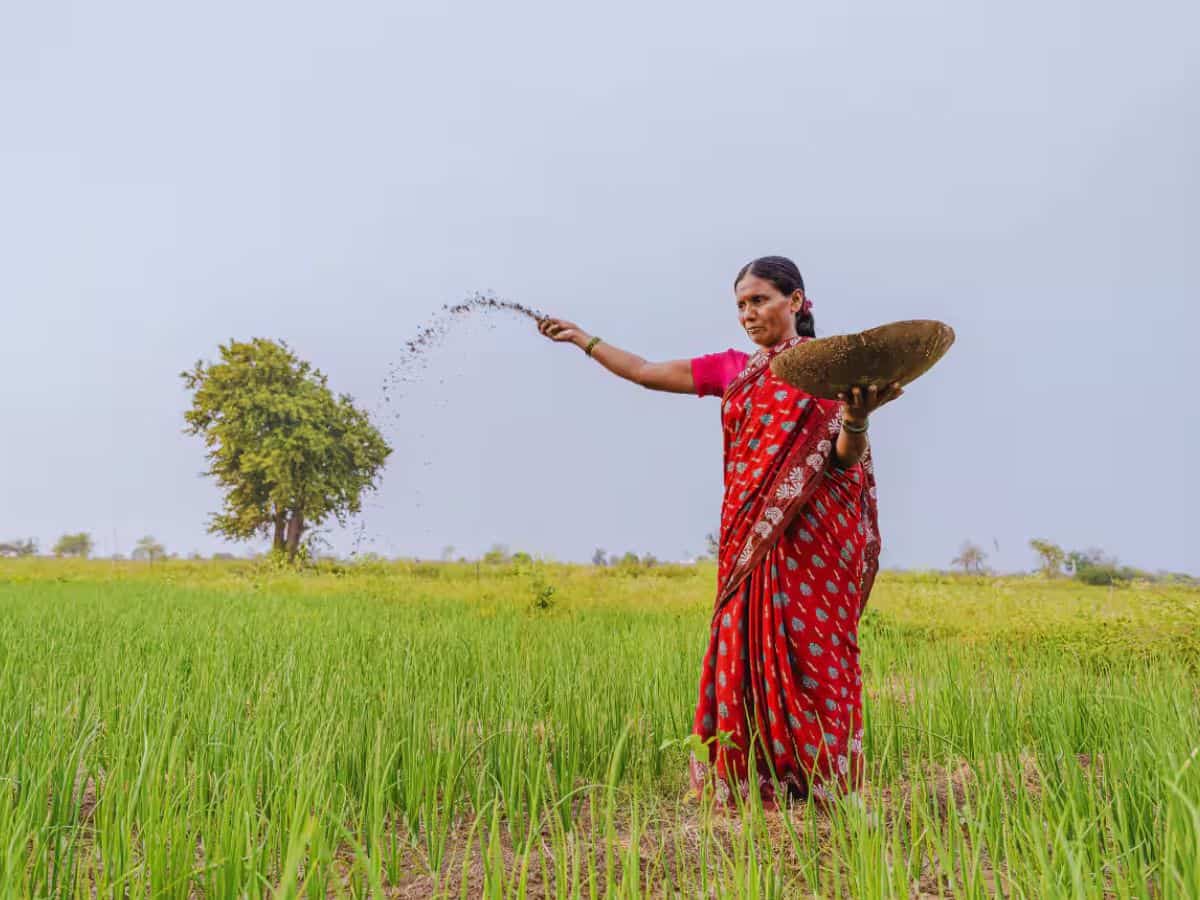 बाढ़ में बर्बाद हो गई आपकी फसल तो मिलेगा ₹22500 प्रति हेक्टेयर का मुआवजा, आवेदन शुरू, नोट कर लें अंतिम तारीख