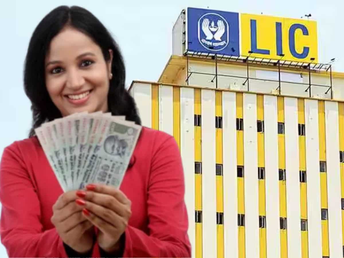LIC पॉलिसी खरीदने जा रहे हैं? रुकिए! इन 5 बातों पर जरूर करें गौर, कहीं बाद में पछताना न पड़े