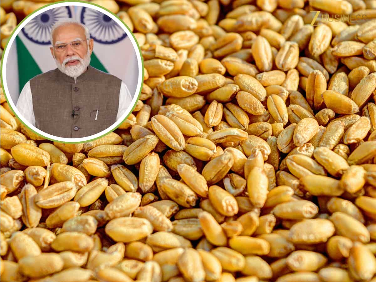 गेहूं पर आया केंद्र सरकार का बड़ा फैसला, महंगाई पर लगेगी लगाम! 31 मार्च 2026 तक लागू रहेगा नियम