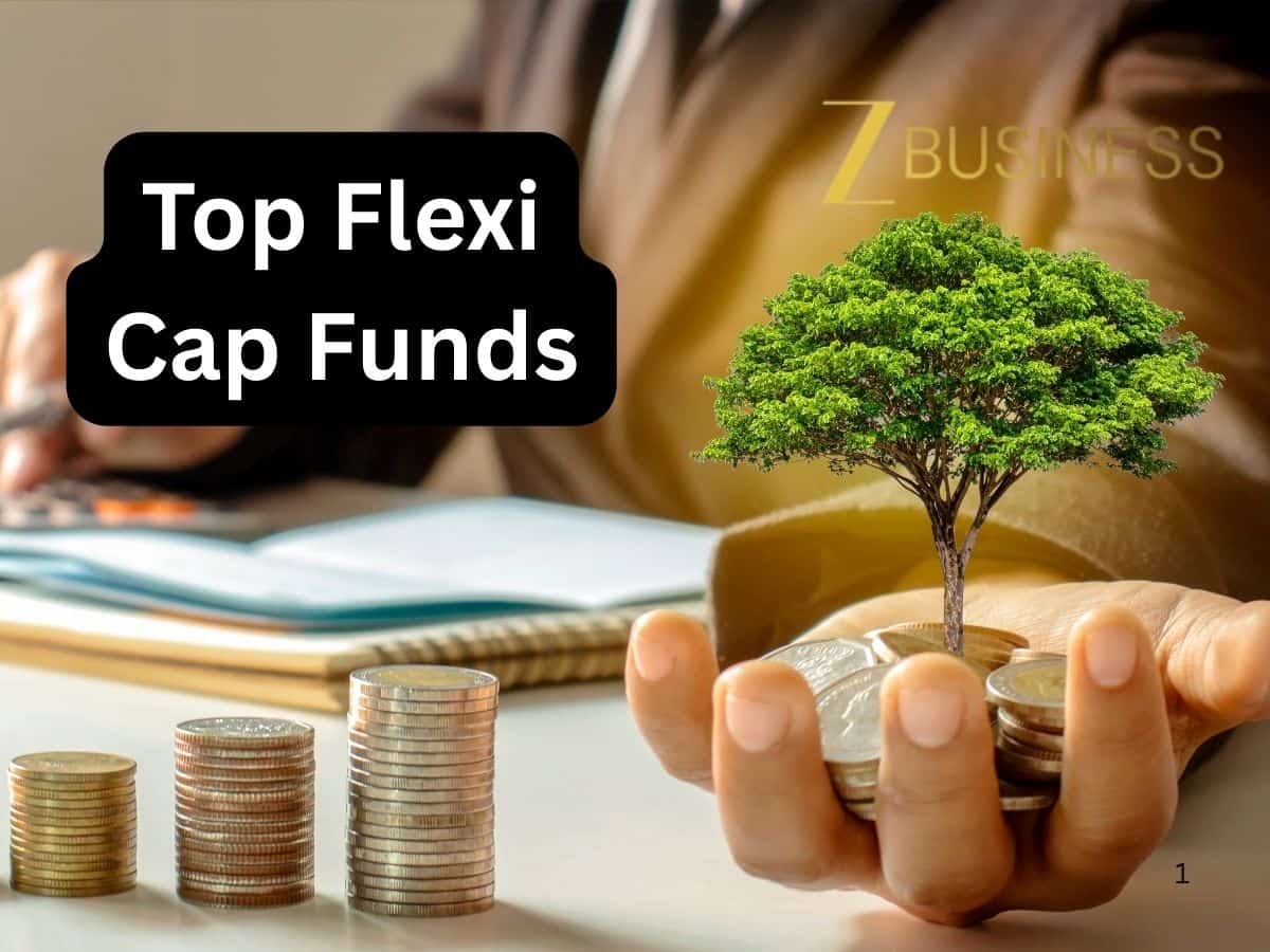 ये हैं देश के 3 सबसे बड़े Flexi Cap Funds, एक का एयूएम तो 1 लाख करोड़ के पार; रिटर्न में कौन आगे?