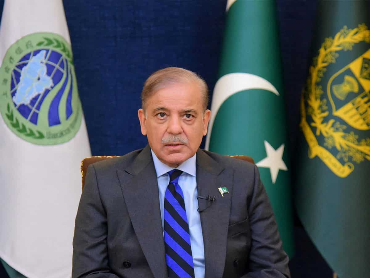 शहबाज शरीफ सरकार में पाक की हाल बद से बदतर, भूख मिटाने के लिए जंगल काट रहे पाकिस्तानी, रिपोर्ट ने बताई हकीकत