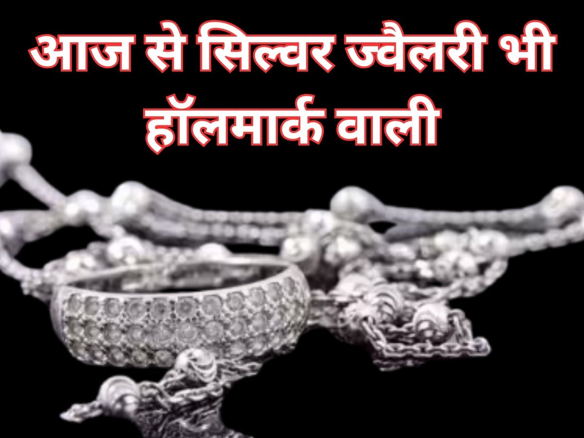 Hallmarking on Silver: आज से सिल्वर ज्वैलरी भी होगी हॉलमार्क वाली, ये 6 ग्रेड बताएंगे कितनी शुद्ध है चांदी!