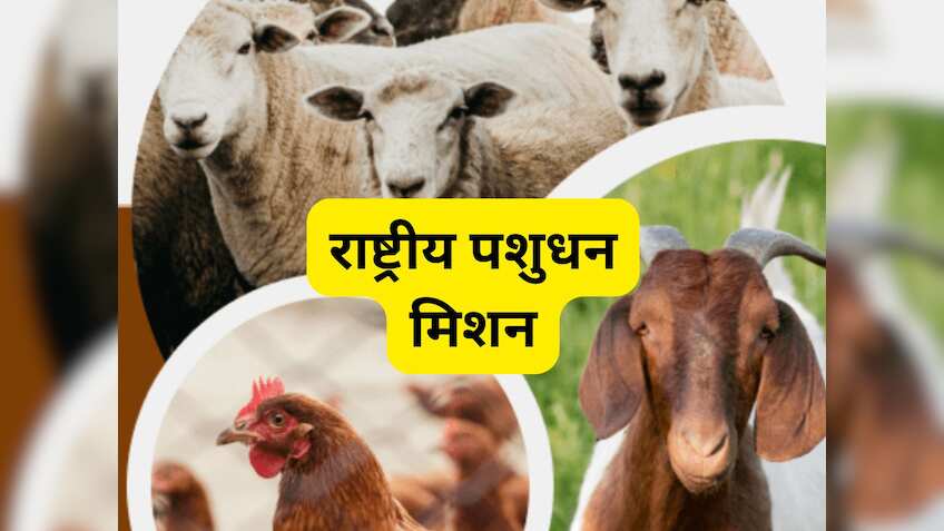 चलता-फिरता ATM है ये बिजनेस! शुरू करने के लिए सरकार दे रही 50% सब्सिडी, जानिए सभी जरूरी बातें