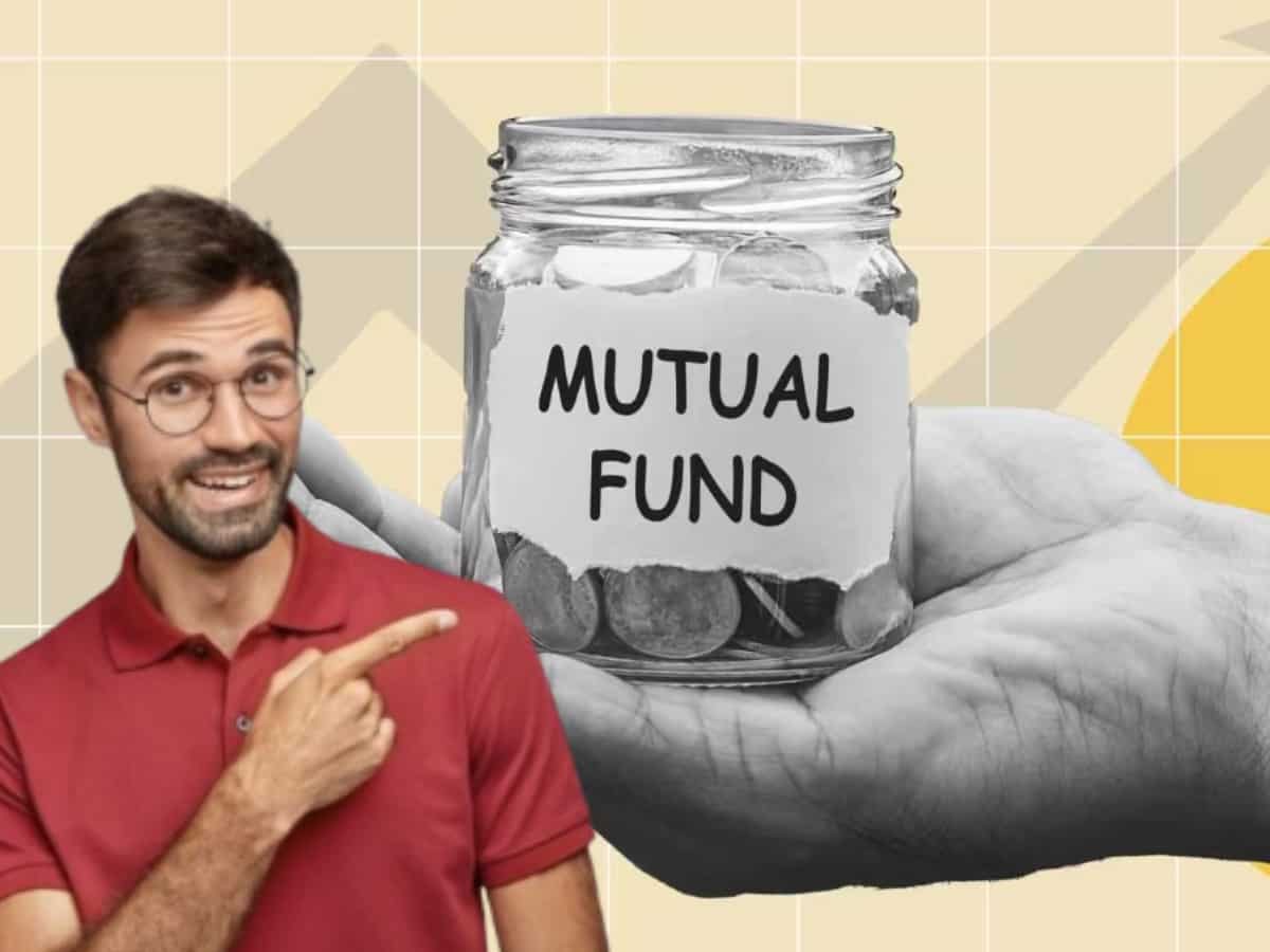 स्मॉल, मिड और लार्ज, तीनों में एक साथ होगा निवेश, मार्केट में आ गया नया म्यूचुअल फंड