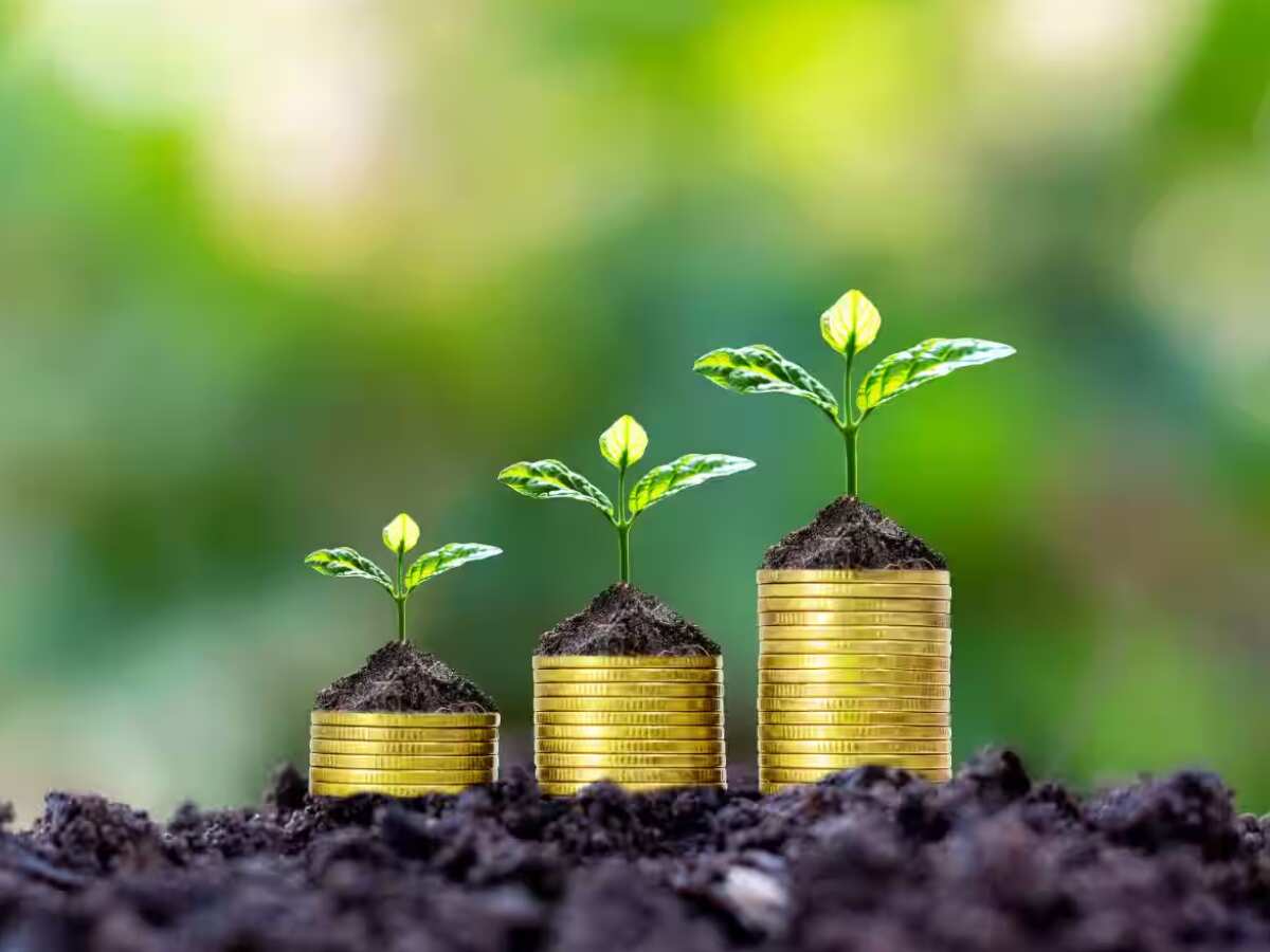 14 साल में करोड़पति