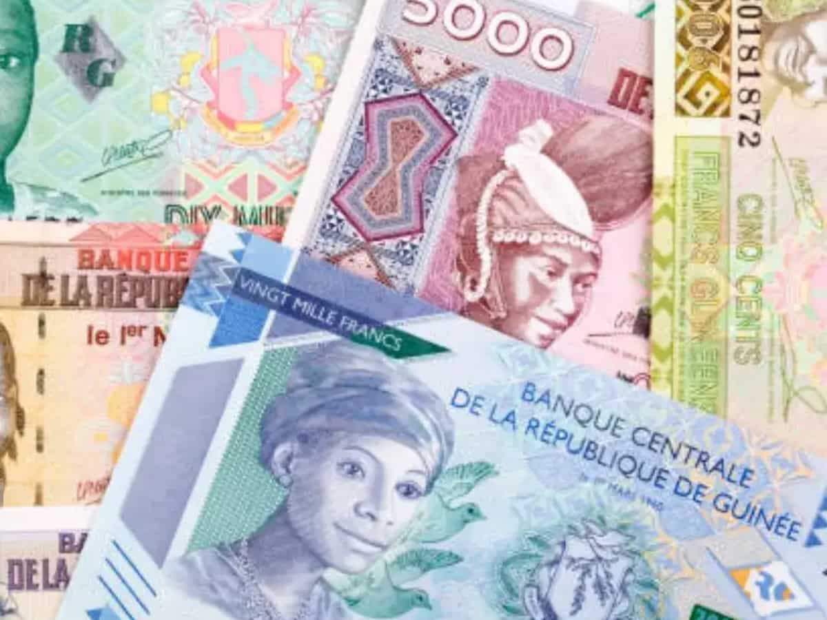 गिनी अफ्रीका