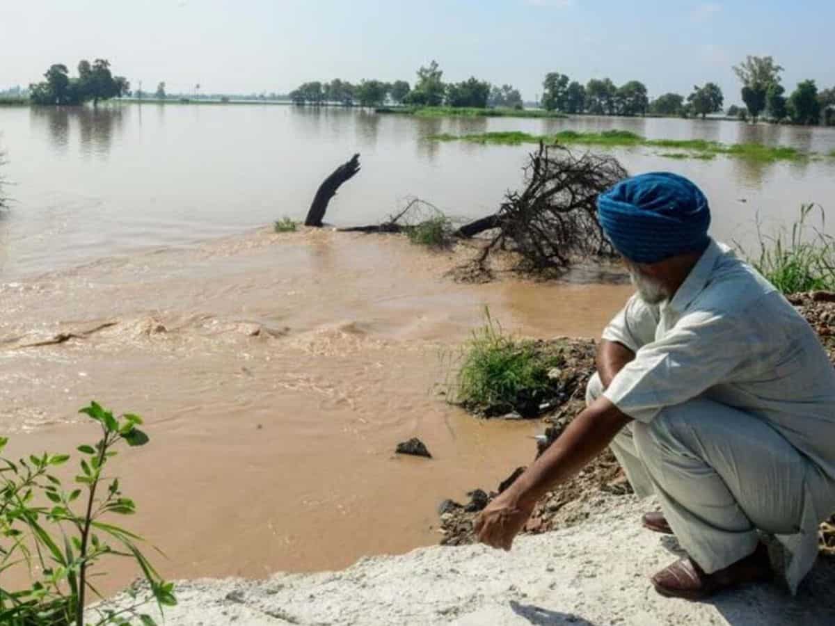 बाढ़ के कारण बर्बाद हुई फसलें, प्रति एकड़ ₹20 हजार का मुआवजा देगी ये सरकार; ‘जिसदा खेत, उसकी रेत’ योजना को मंजूरी