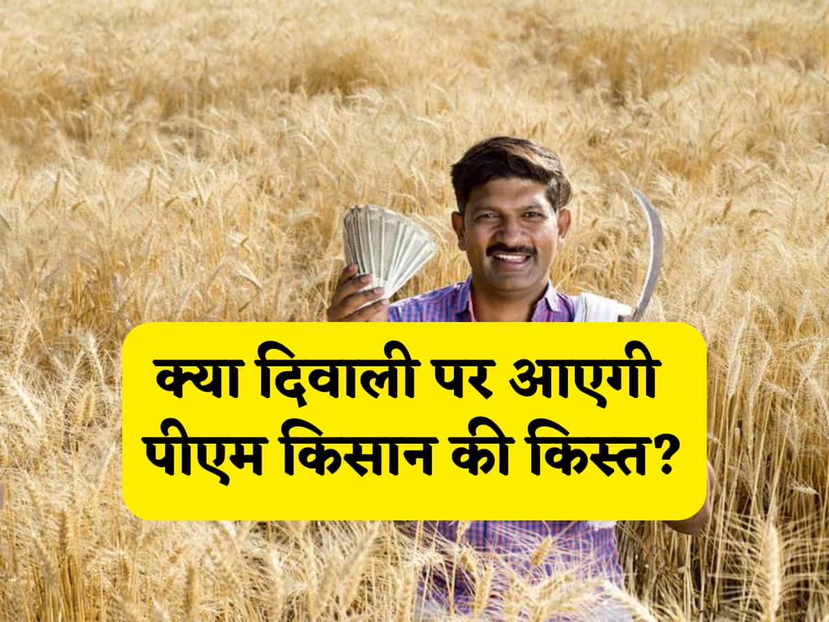 PM Kisan Yojana: क्या दिवाली से पहले आएंगे 21वीं किस्त के पैसे? अगर आपको उठाना है फायदा तो तुरंत करें ये जरूरी काम
