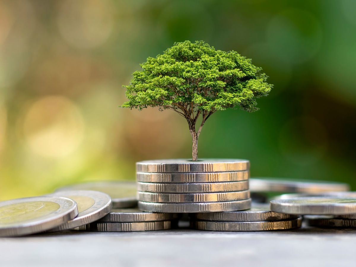 अगस्त महीने में 22% घटा इक्विटी इन्फ्लो, लेकिन Flexi Cap Funds का जलवा जारी