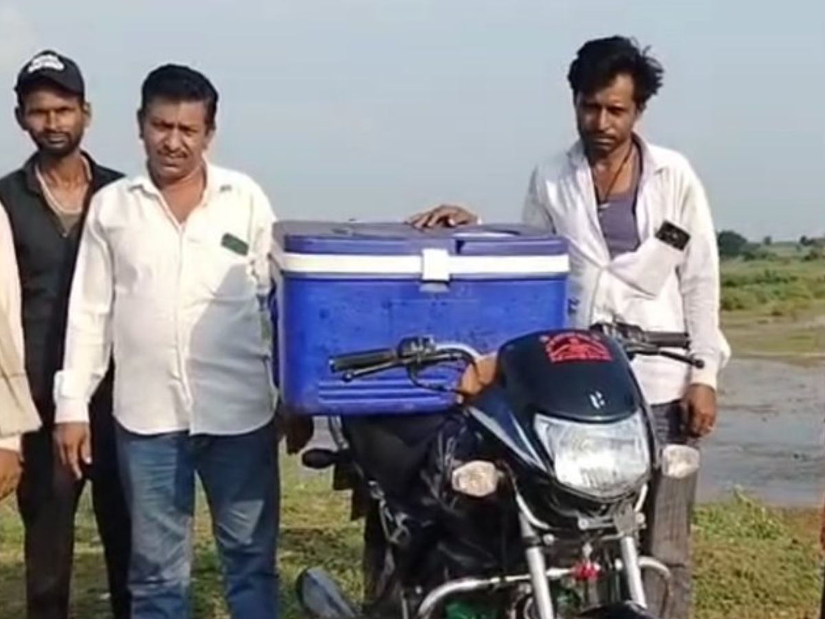 इस सरकारी स्कीम ने मछुआरों की बदली किस्मत! पेन कैचर और केज कल्चर से हो रहा बंपर मुनाफा, 60% तक मिल रही सब्सिडी